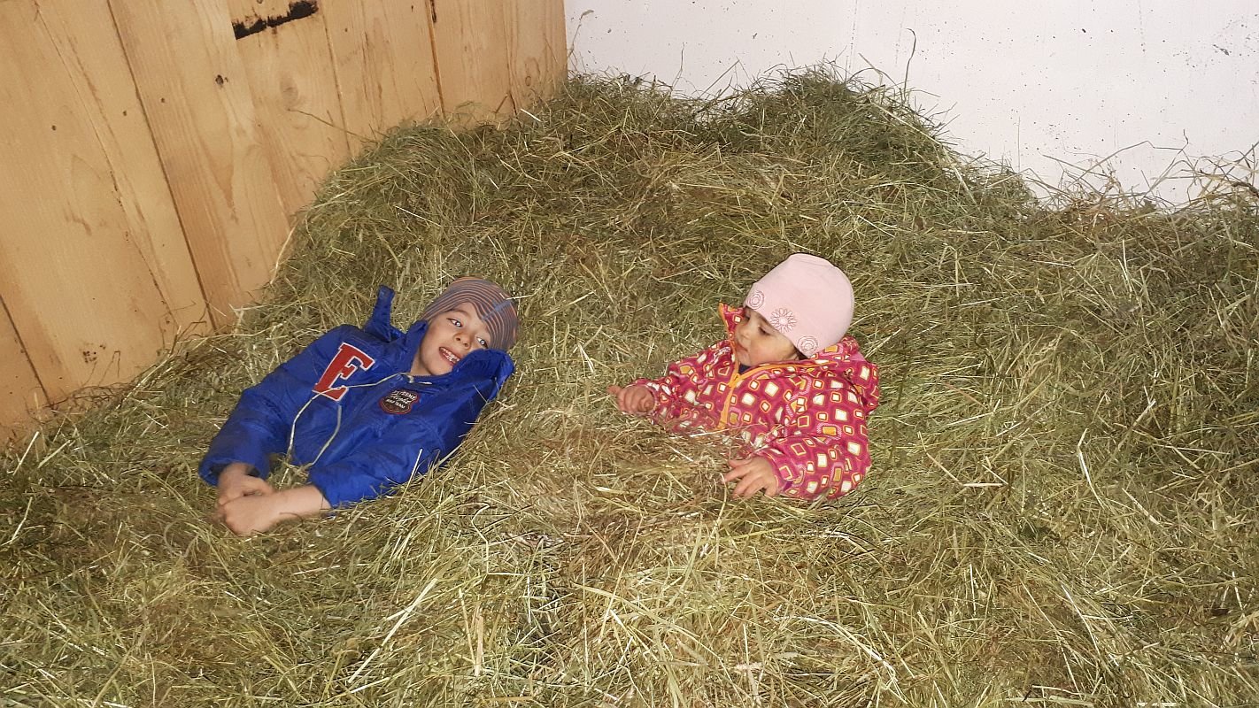 Kinderferien auf dem Bauernhof Südtirol