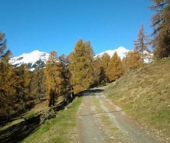 Blaseggerhof in Latzfons - Klausen - Südtirol