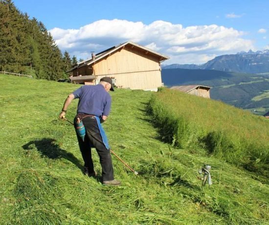 Blaseggerhof in Latzfons - Klausen - Südtirol