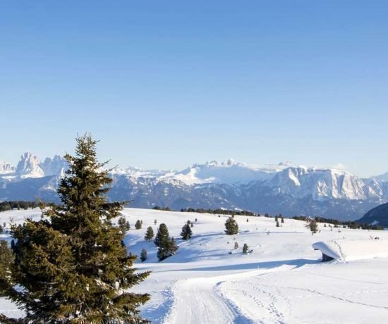 Blaseggerhof in Latzfons - Klausen - Südtirol