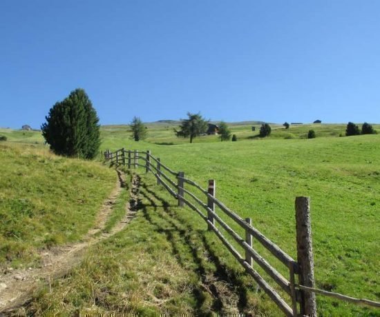 Blaseggerhof in Latzfons - Klausen - Südtirol