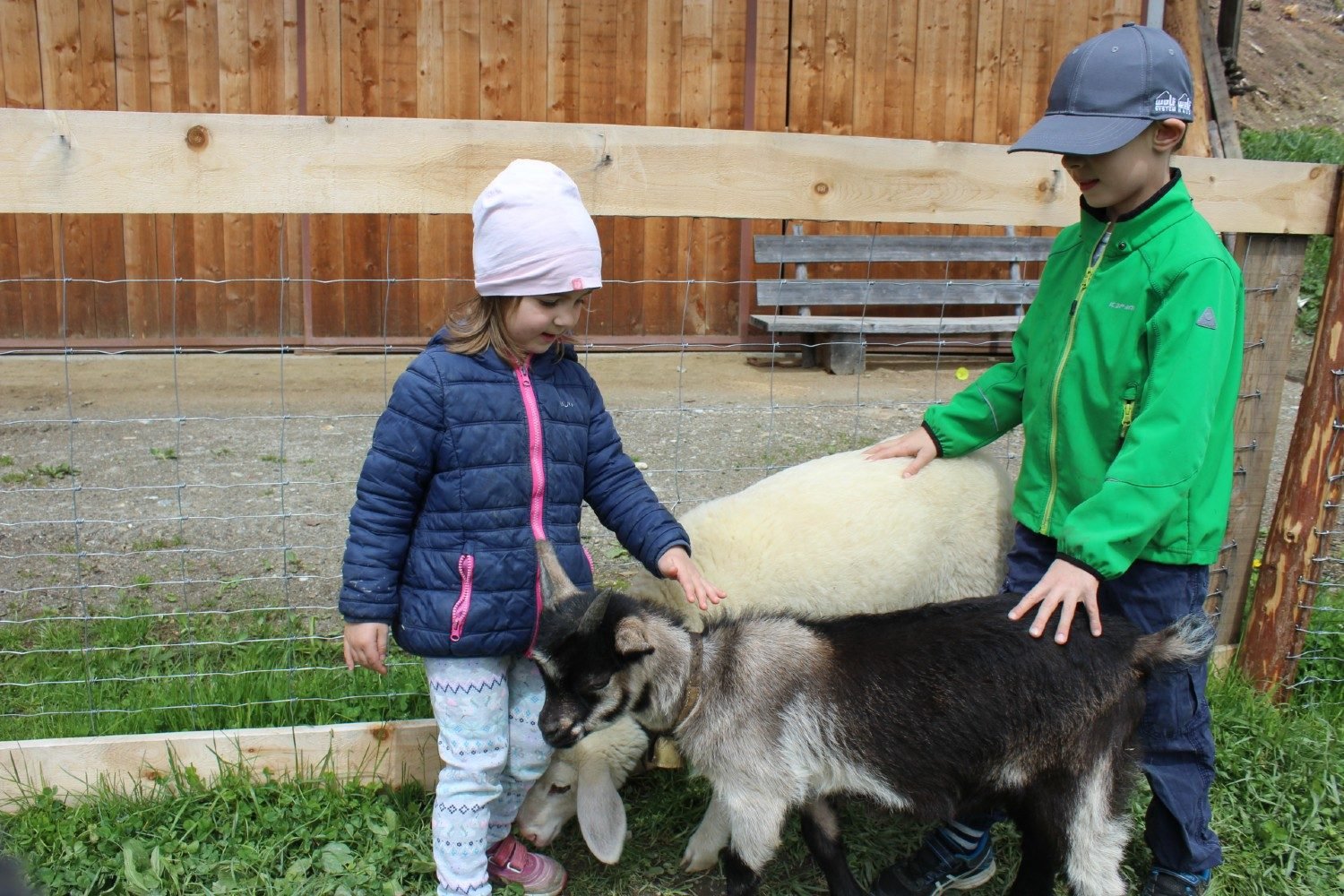 Kinderferien auf dem Bauernhof - Südtirol
