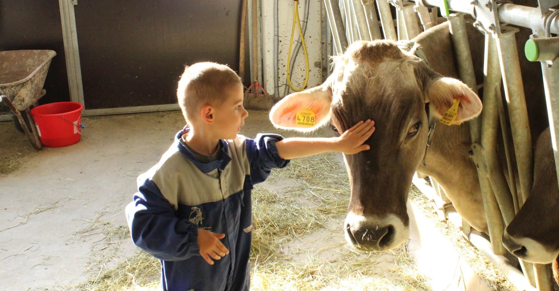 Kinderferien auf dem Bauernhof - Südtirol
