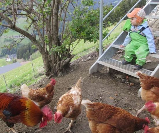 Kinderferien auf dem Bauernhof