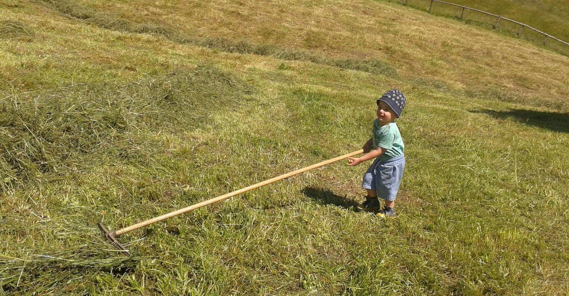 Kinderferien auf dem Bauernhof - Südtirol