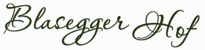 blasegger.com