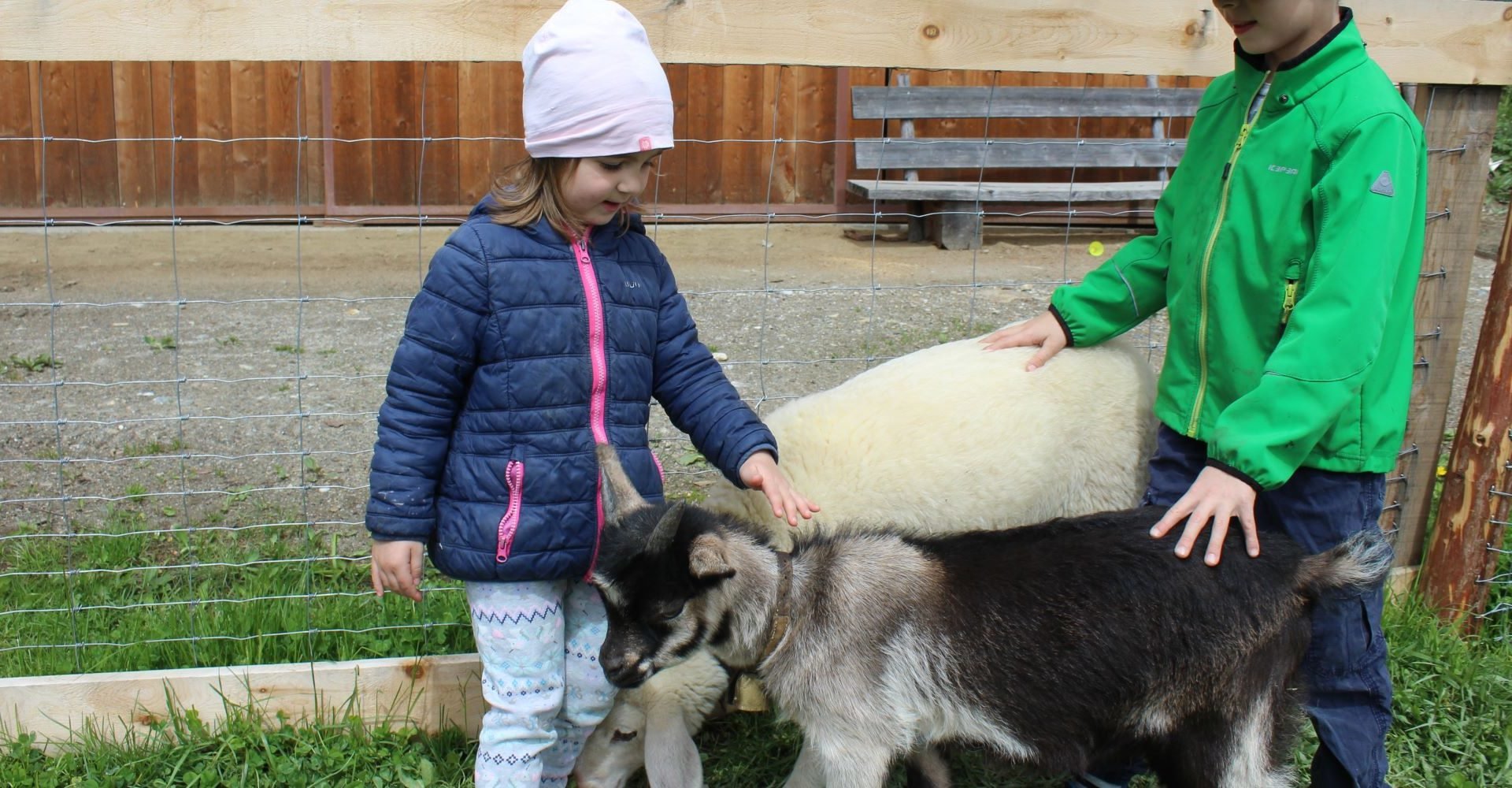 Kinderferien auf dem Bauernhof - Südtirol