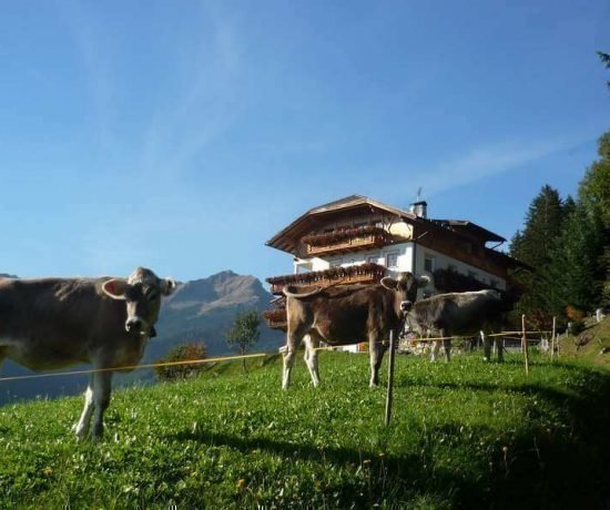 Urlaub auf dem Bauernhof Klausen