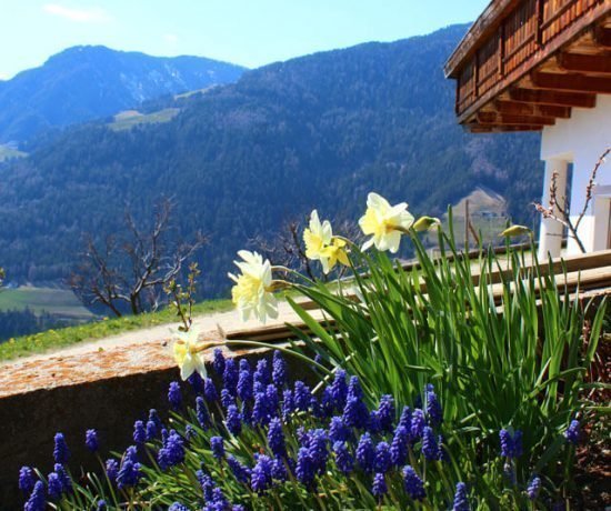 Urlaub im Eisacktal - Frühling