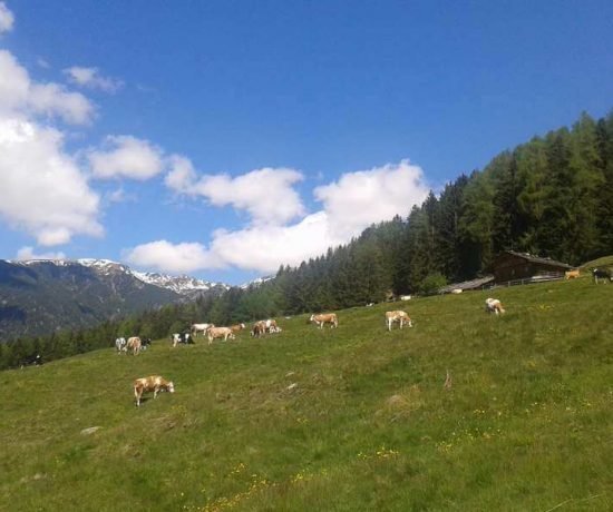 Urlaub im Eisacktal - Frühling